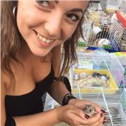 Insegnante Pedagogia, Psicologia e Filosofia Insegnante di Sostegno e Pedagogista aiuto e supporto nel metodo di studio